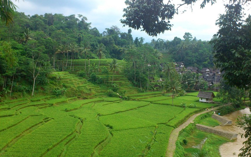 Kampung-Naga-Java-Ouest.jpg