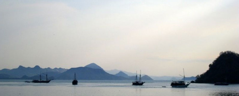 flores_01.jpg
