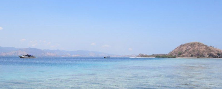 flores_041.jpg