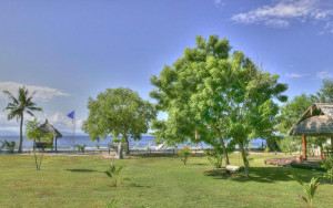 a7f515e356d70f8f23f193665fd5db19.jpg