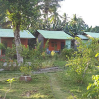 Confort 42