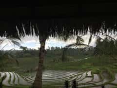 807a7328be1f946db13b25446b57efa6.jpg